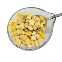 El maíz dulce secado congelado Huazhen de grano grande a bajo precio